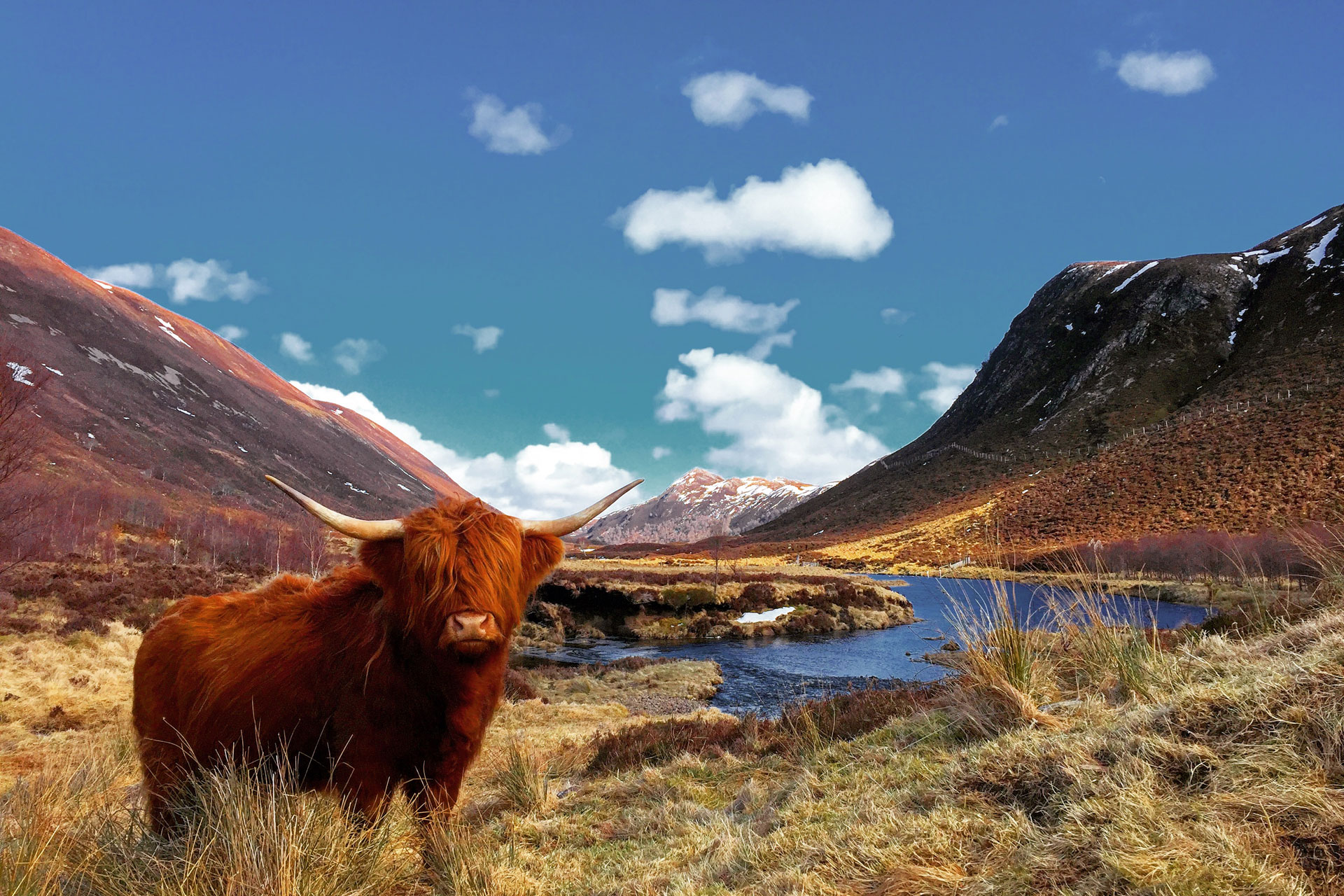 Alladale Wilderness Reserve