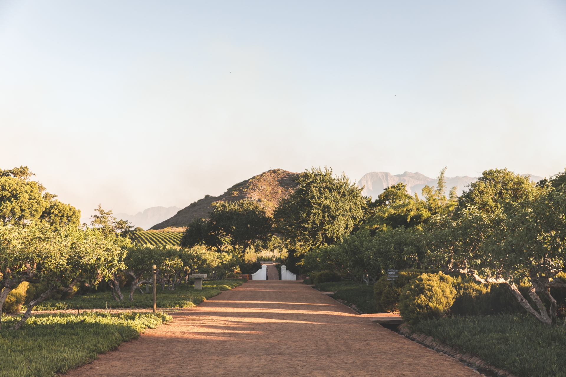News From Roseshire: Which Rosés Should We Be Drinking Now?