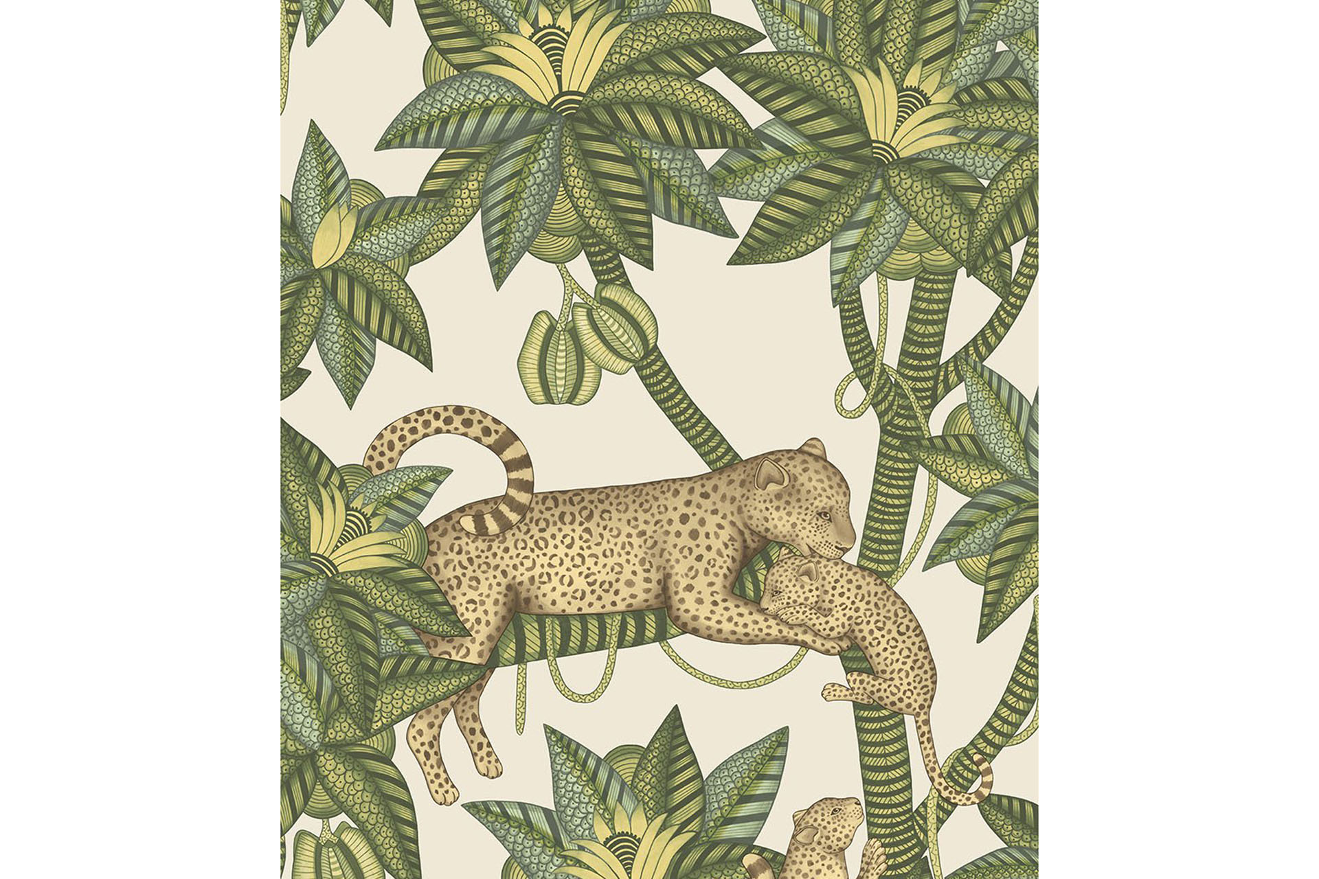 Cole & Son Satara wallpaper