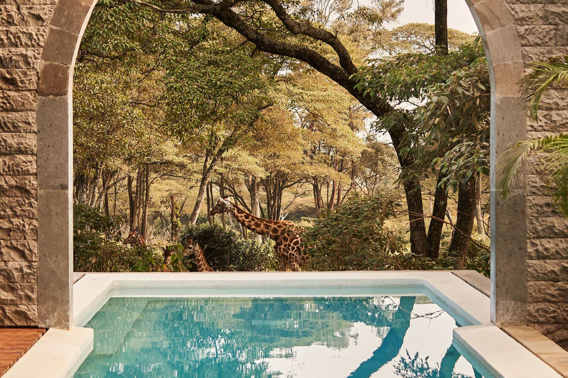 The Retreat at Giraffe Manor, Kenya