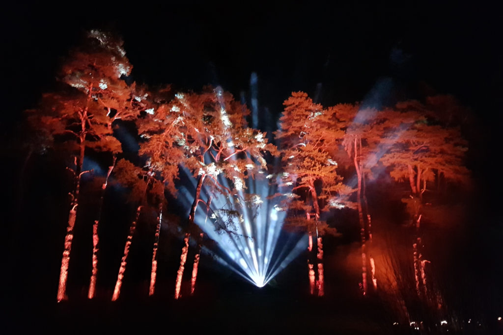 Westonbirt Aboretum