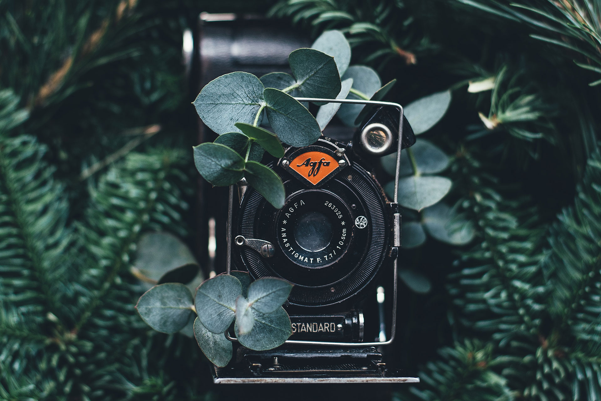 How To Make Your Photography More Sustainable