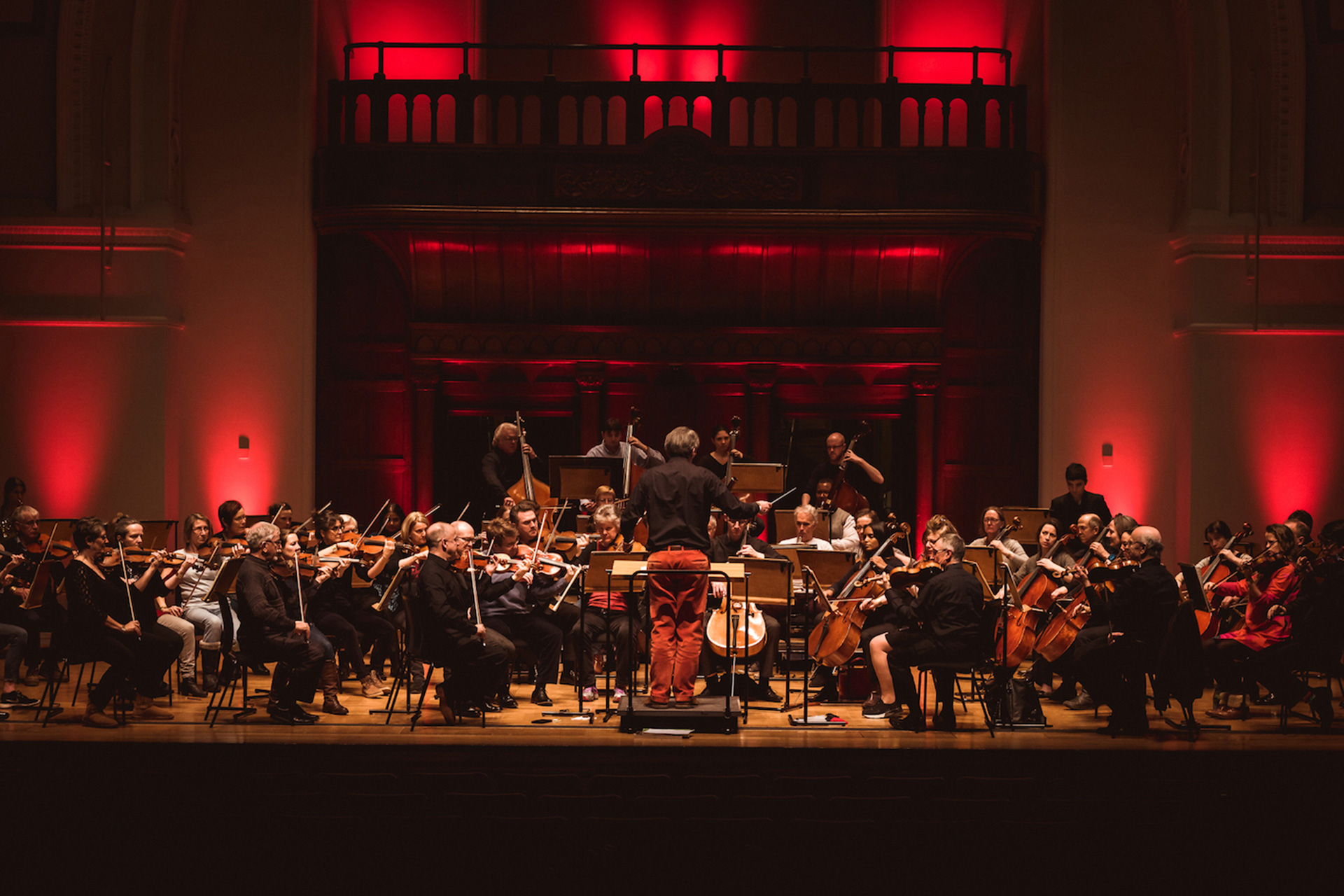 The Doctors Orchestra: A Fundraising Concert For Charity