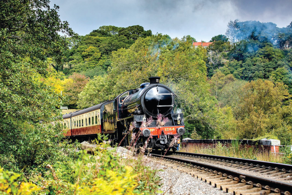 Steam train