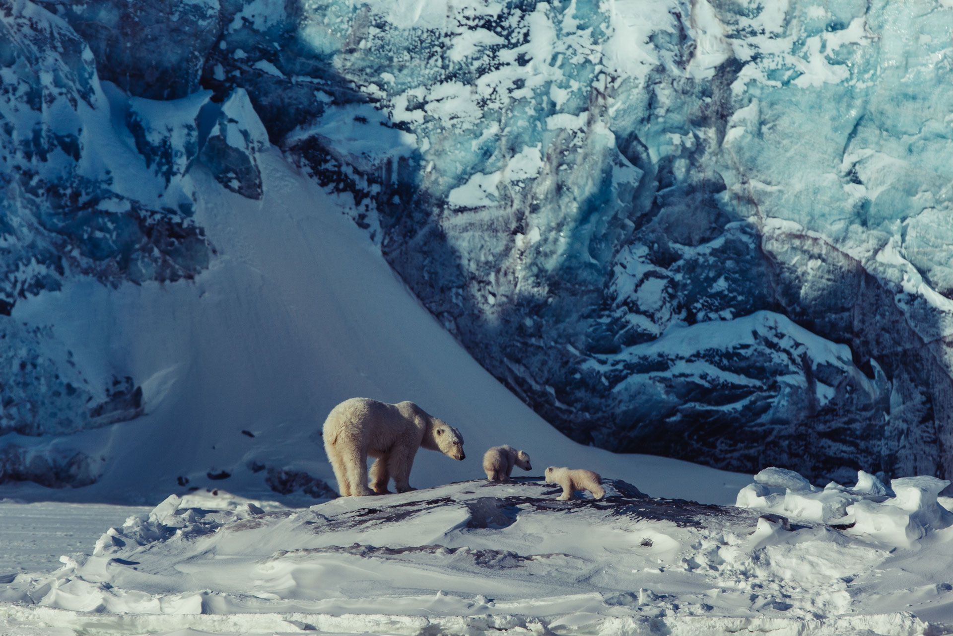 Earthshot: How to Save Our Planet