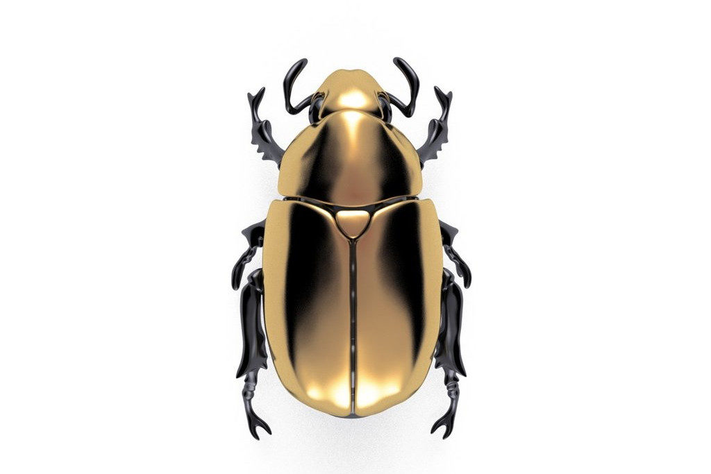 Beetle Brooch