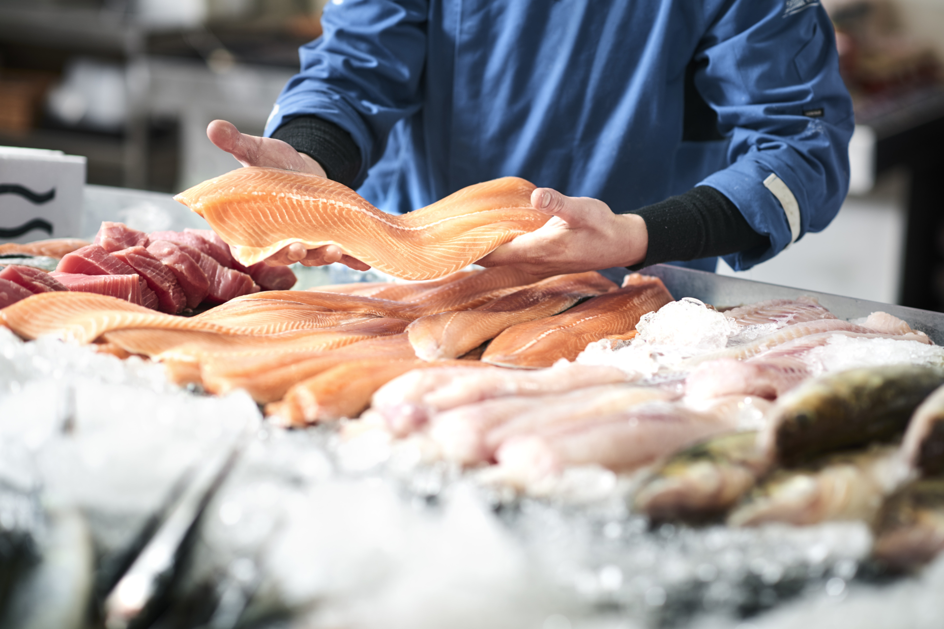 Fresh fish in a fishshop