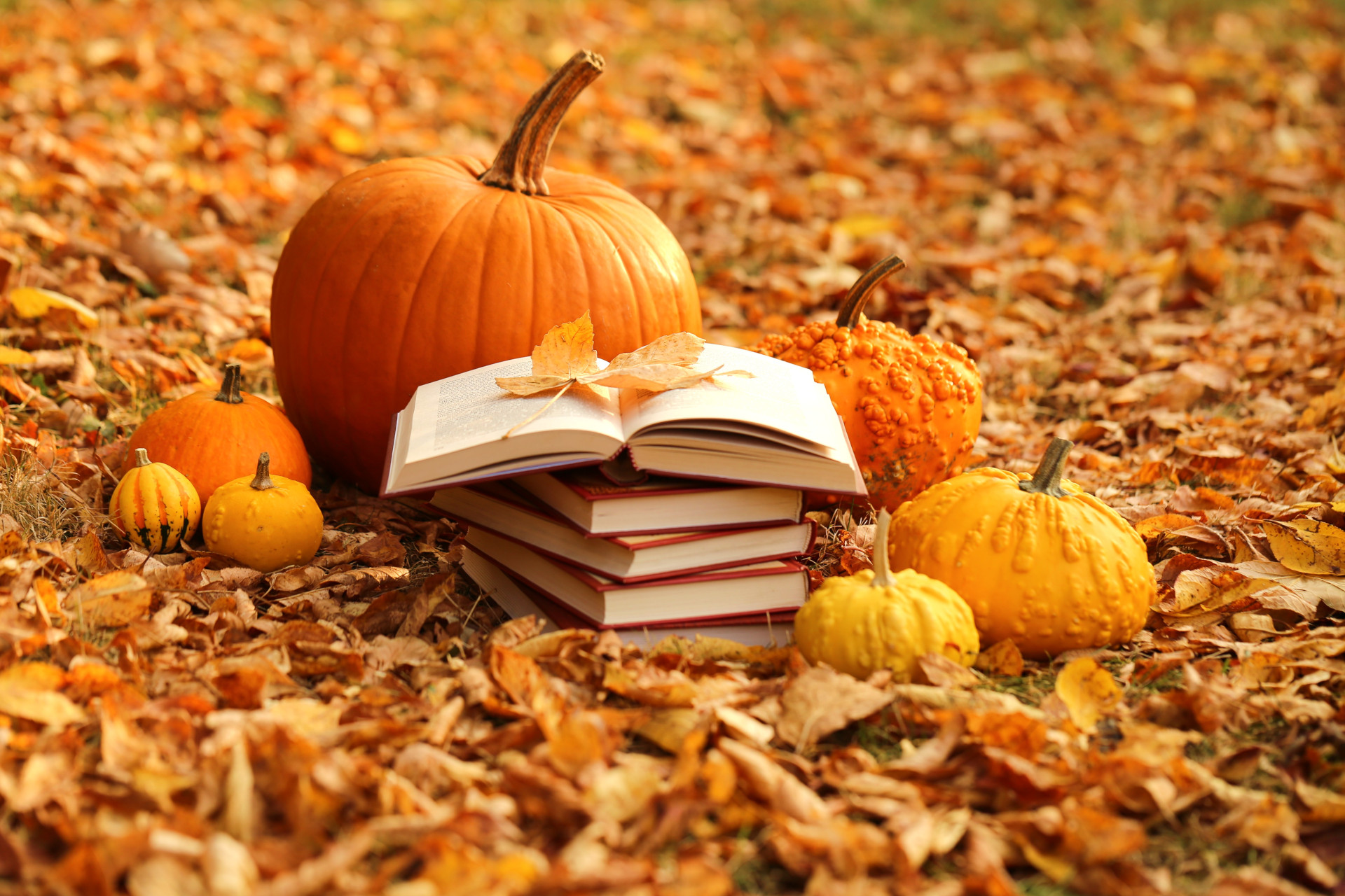 Halloween Horror Novels - Halloween books. Stack of books and orange pumpkins set on autumn foliage on nature background