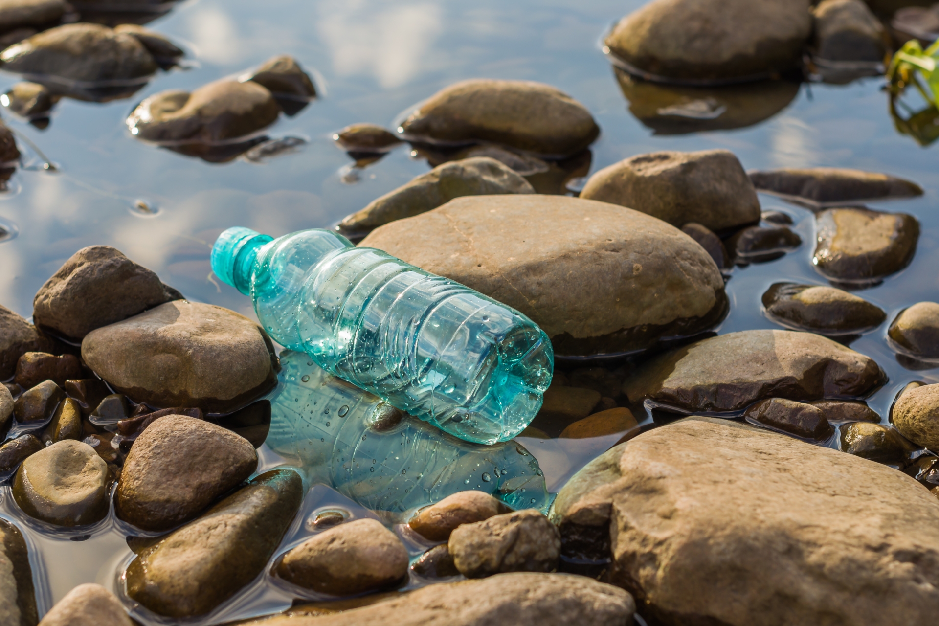 Plastic bottle in nature
