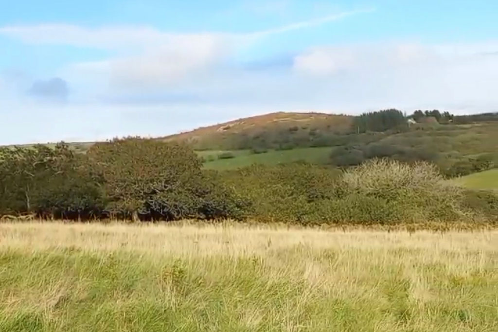 Cabilla Cornwall Reel