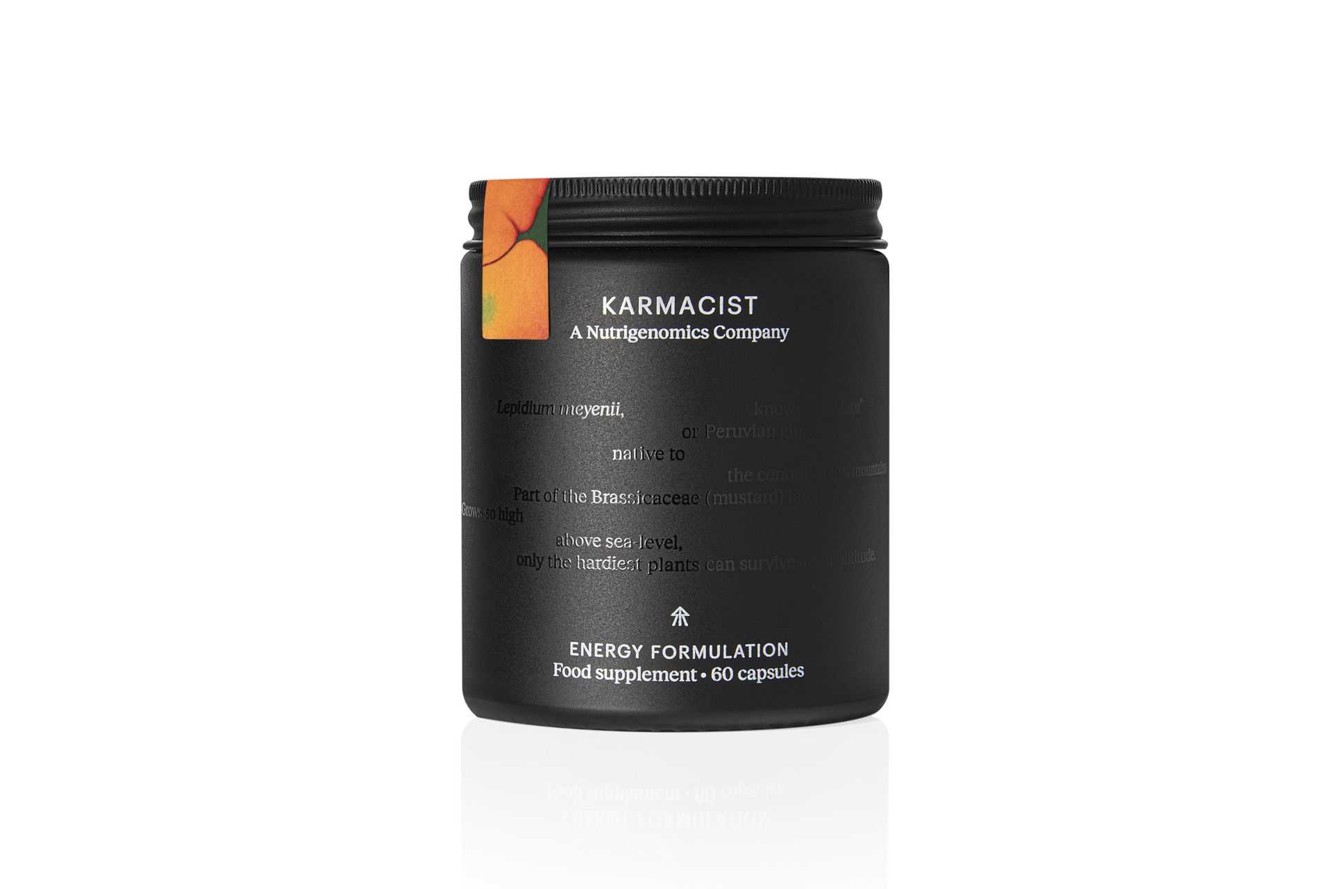 Karmacist Energy