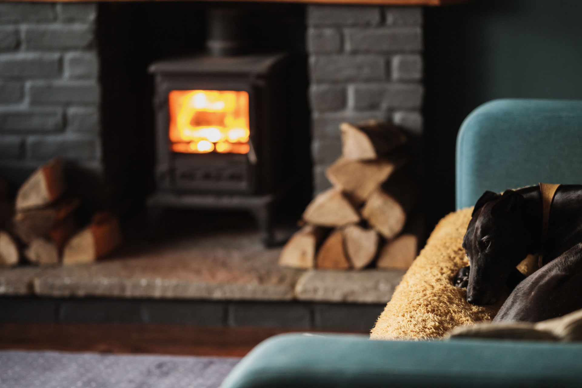 Dog by fireplace Photo by Annie Spratt