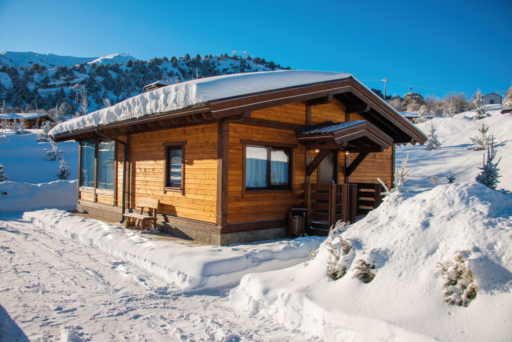 ski chalet 
