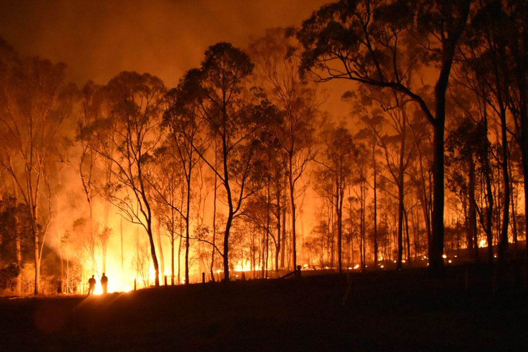 Australian fires, Getty Images
