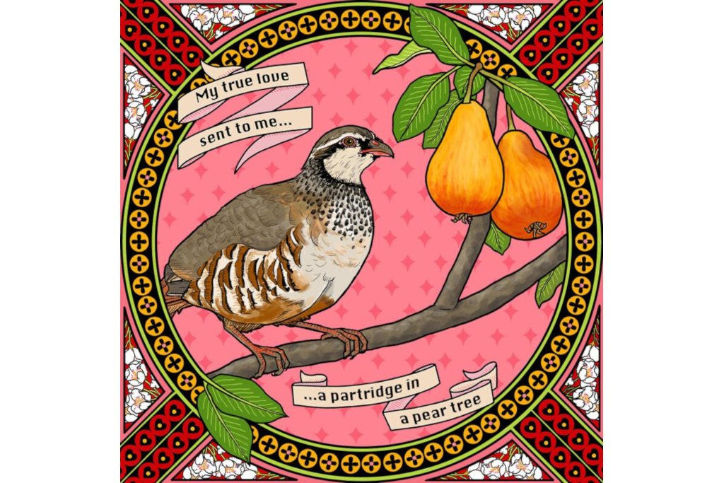 Abi Stevens Four Birds of Xmas card set