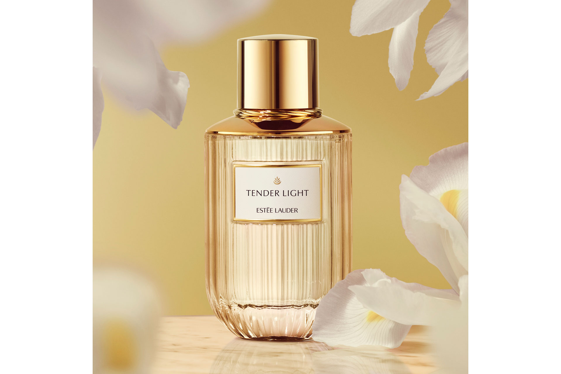 Tender Light, Estee Lauder