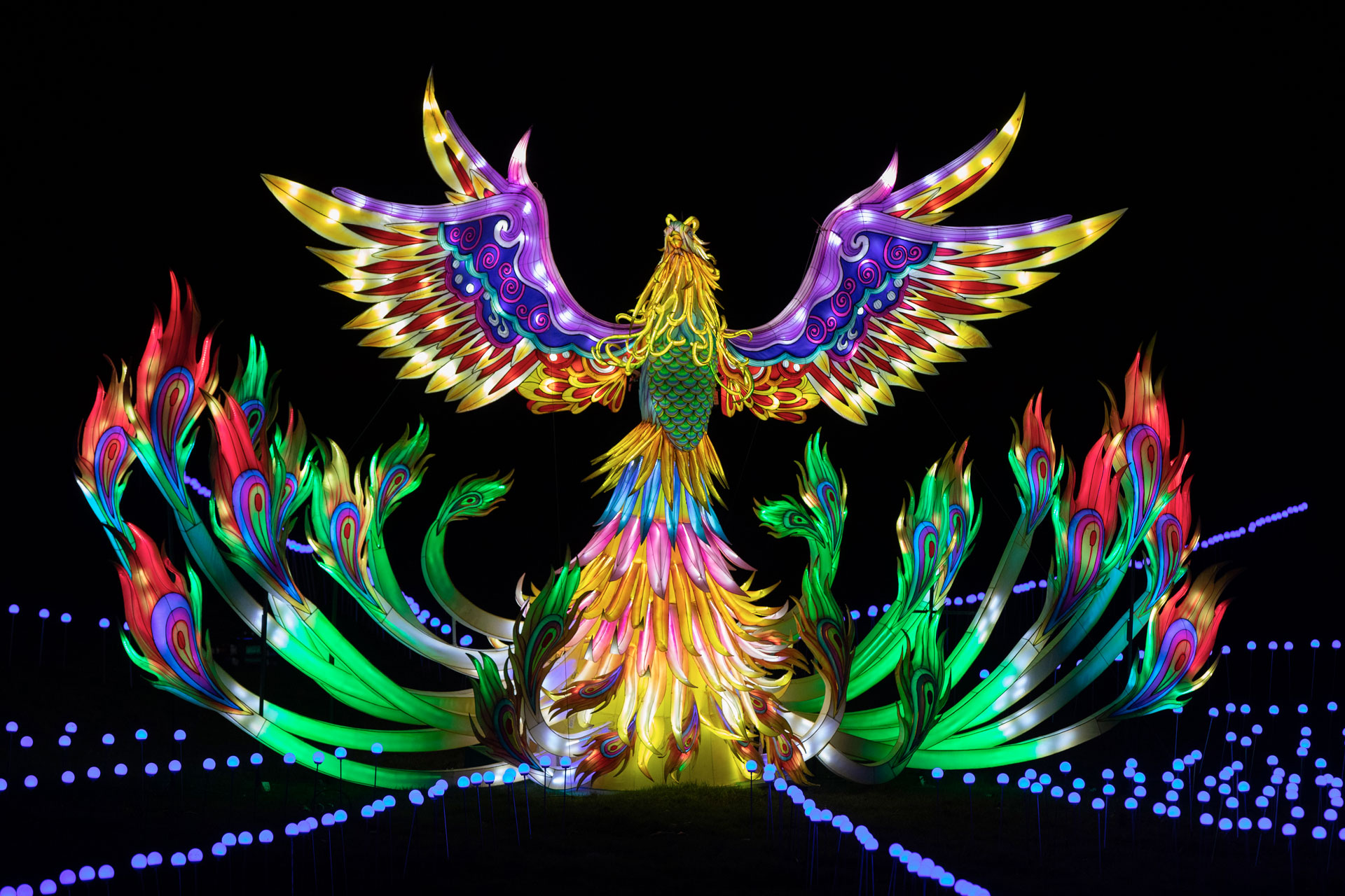 a lit up neon bird against a black background