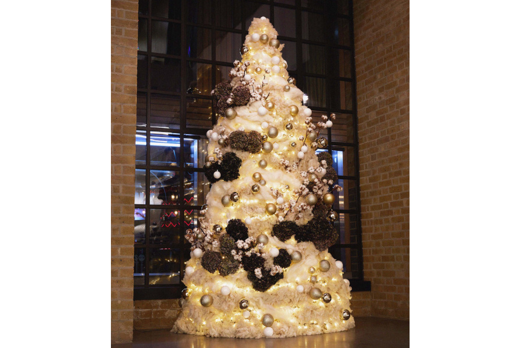 native bankside wool tree