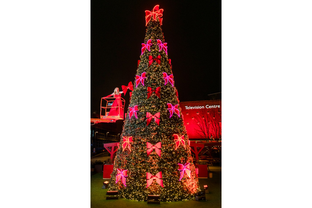 Television centre tree