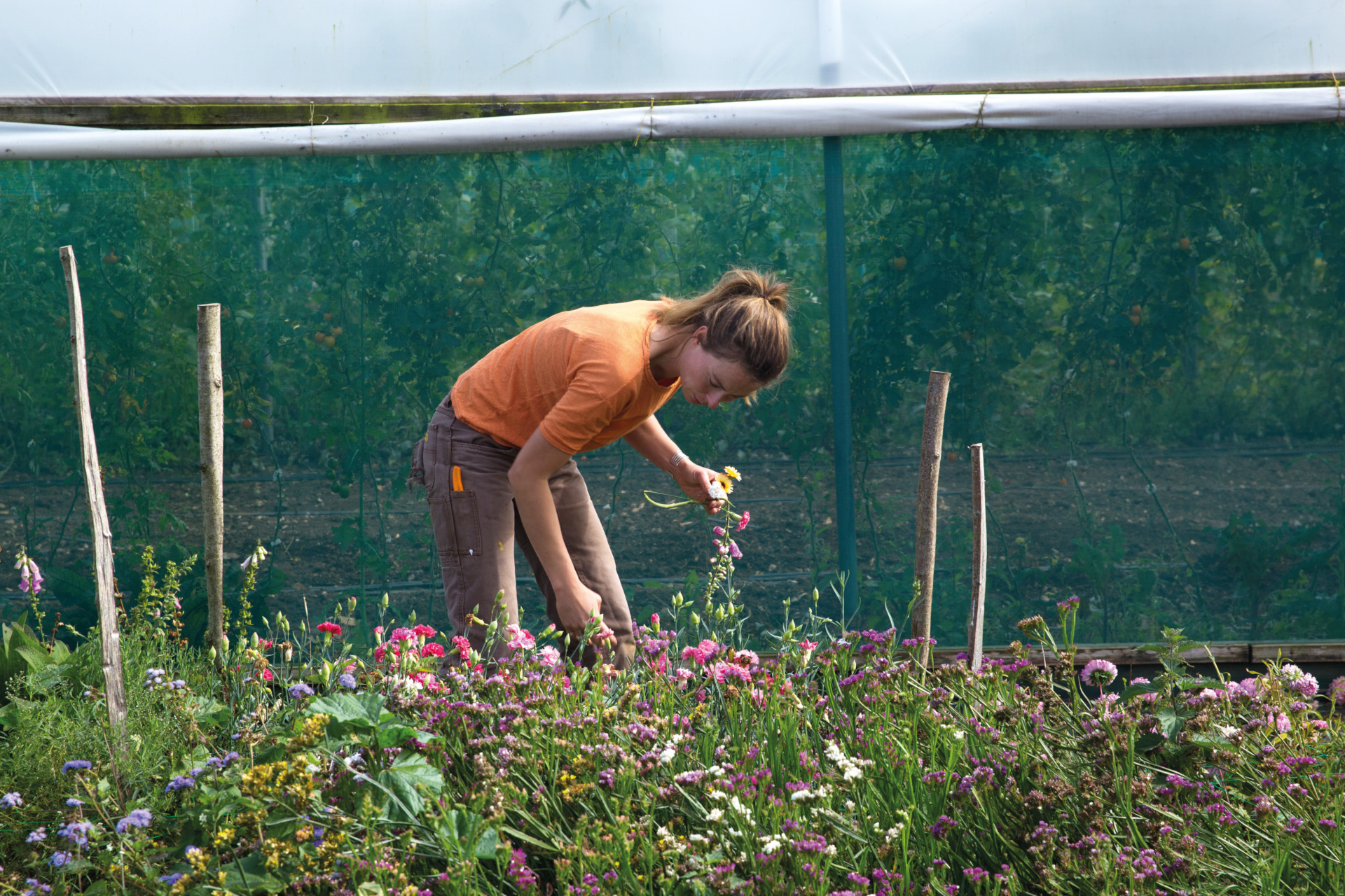 Woman gardening in plot