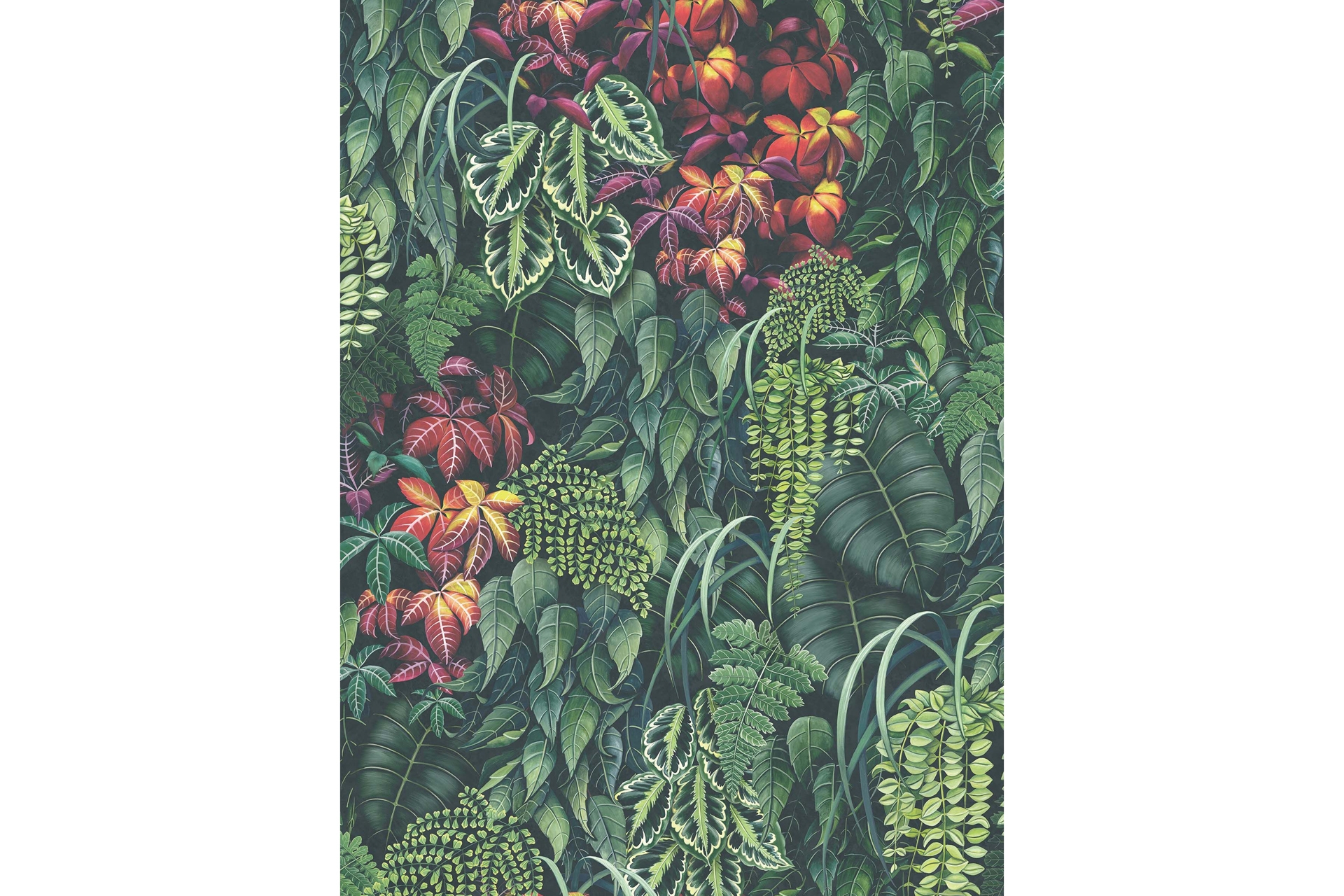 Osborne & Little green wall wallpaper