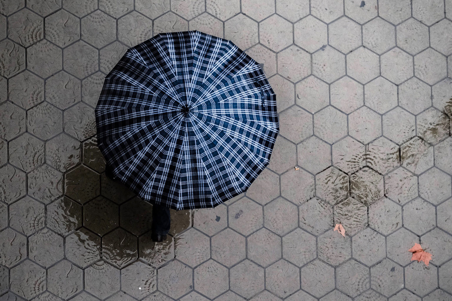 The Best British Umbrella Brands 2022 Style Luxury Umbrellas