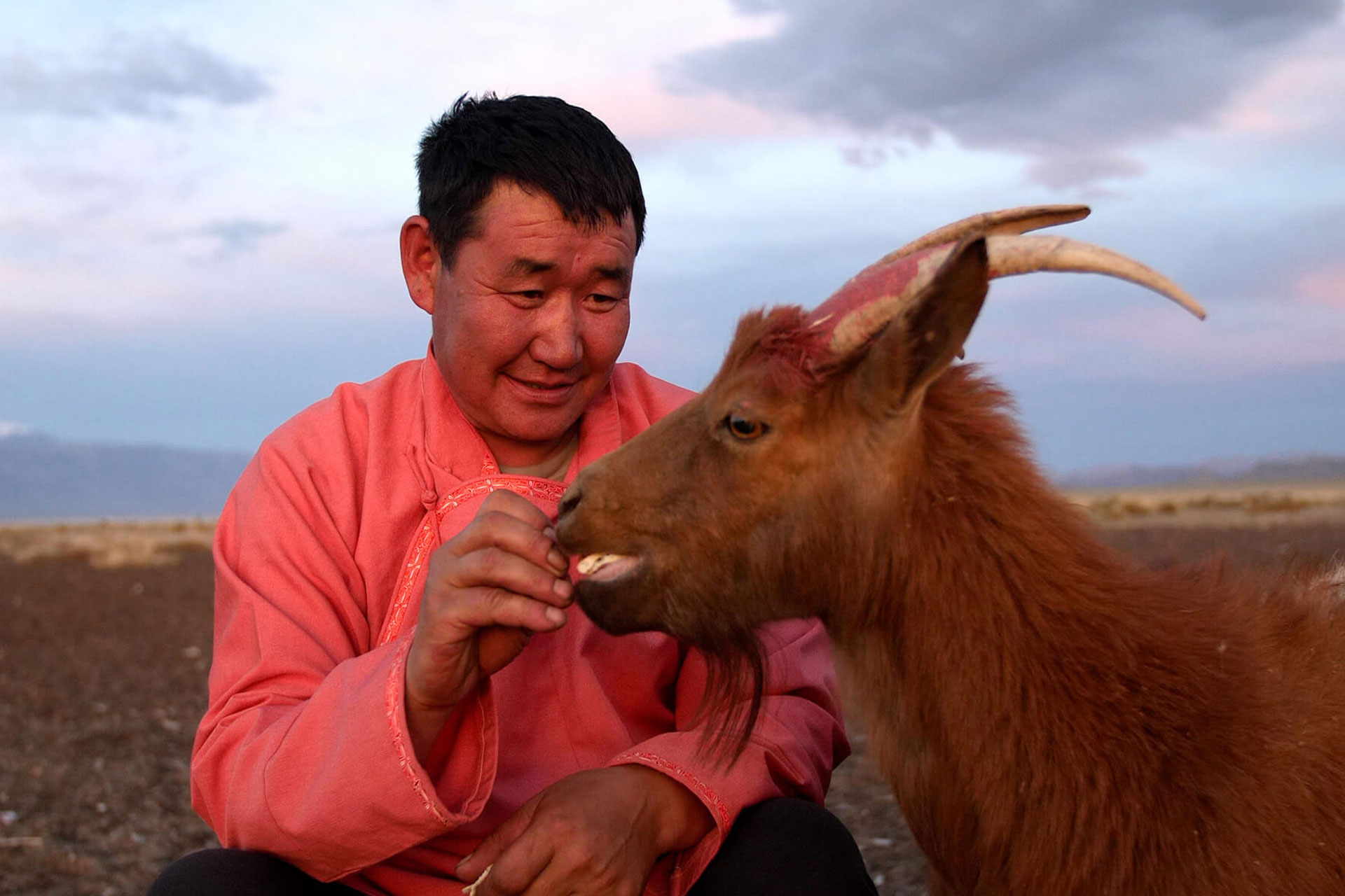 How Is Climate Change Affecting Cashmere?