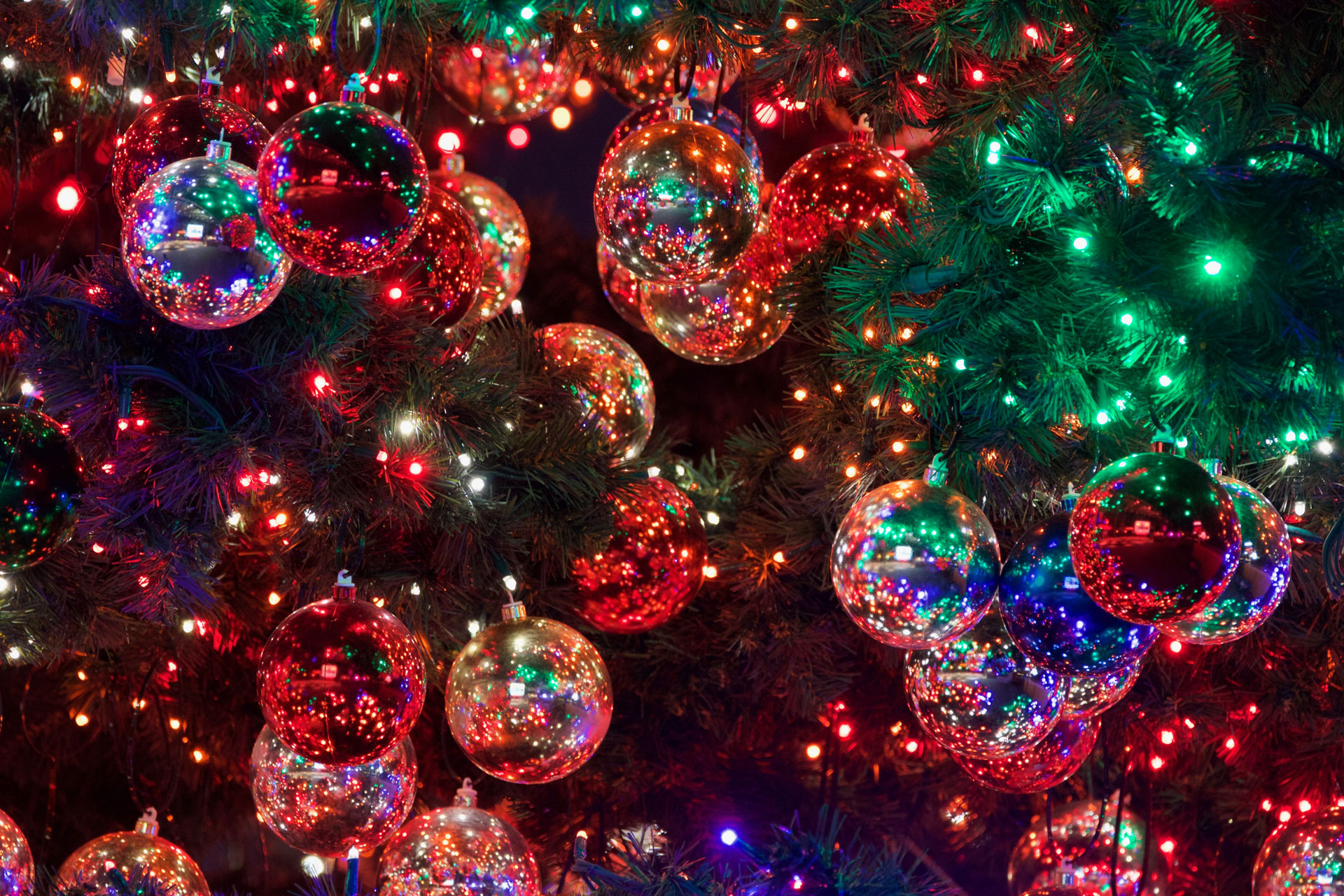 christmas lights