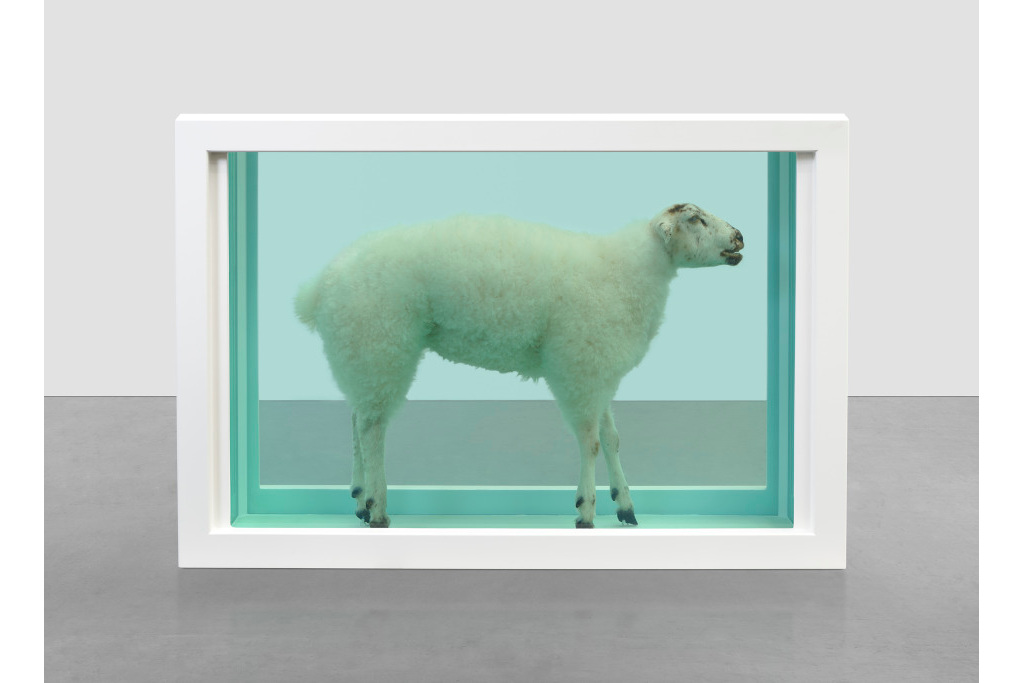 Sheep in resin container