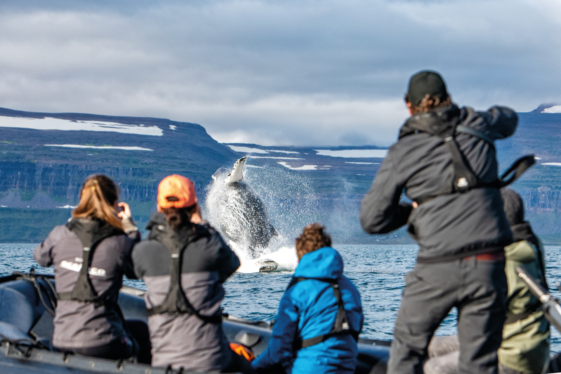 People watching a whale in the water