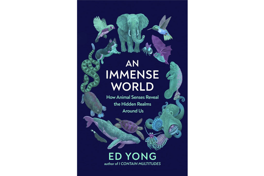 An Immense World by Ed YongÂ