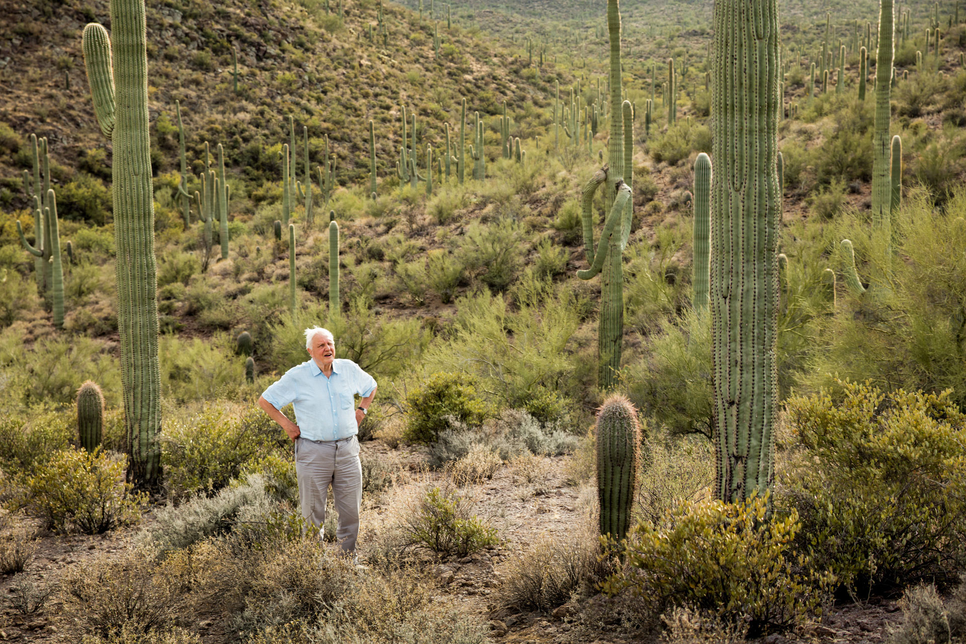 Must-Watch Documentaries About Sustainability