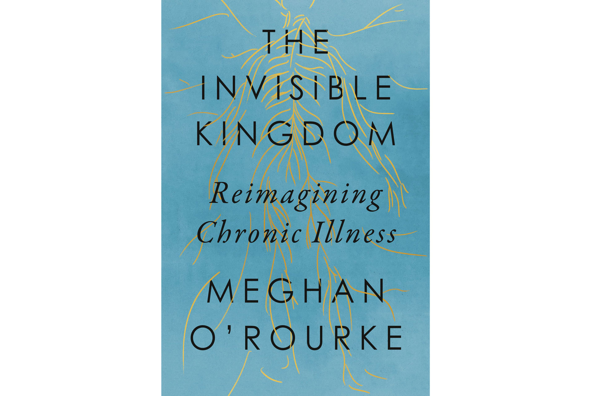The Invisible Kingdom by Meghan O'Rourke