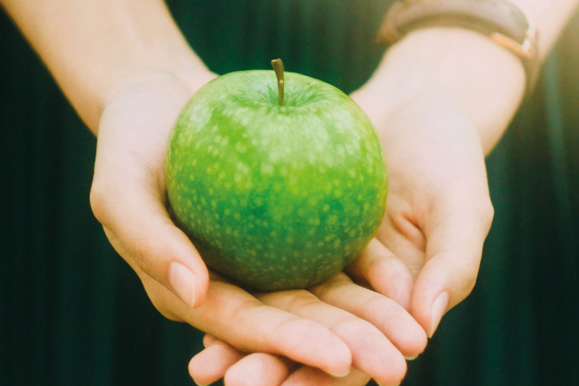 Green apple held in hands