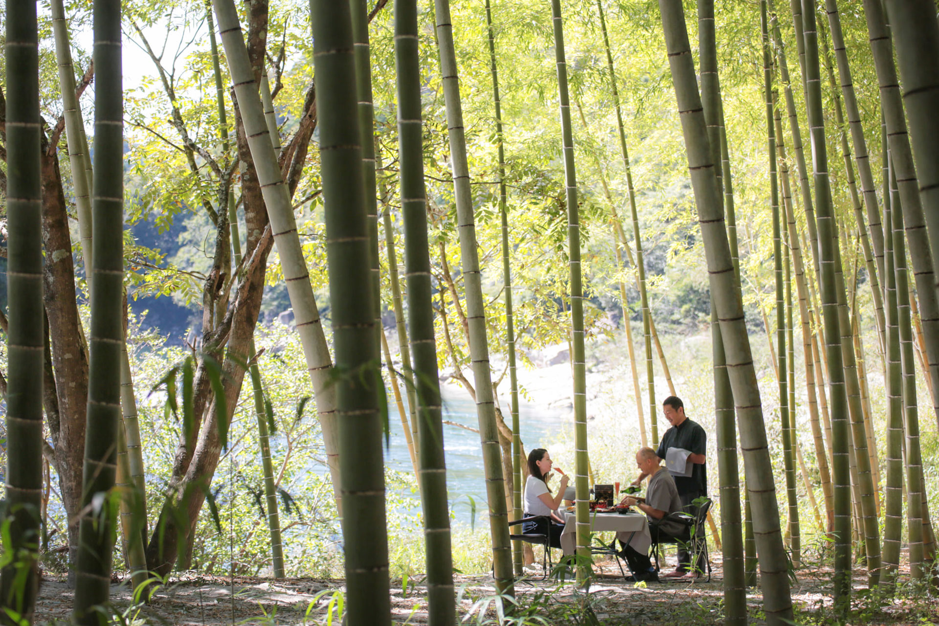 a couple eat in a bamboo forest in japan zenagi hotel