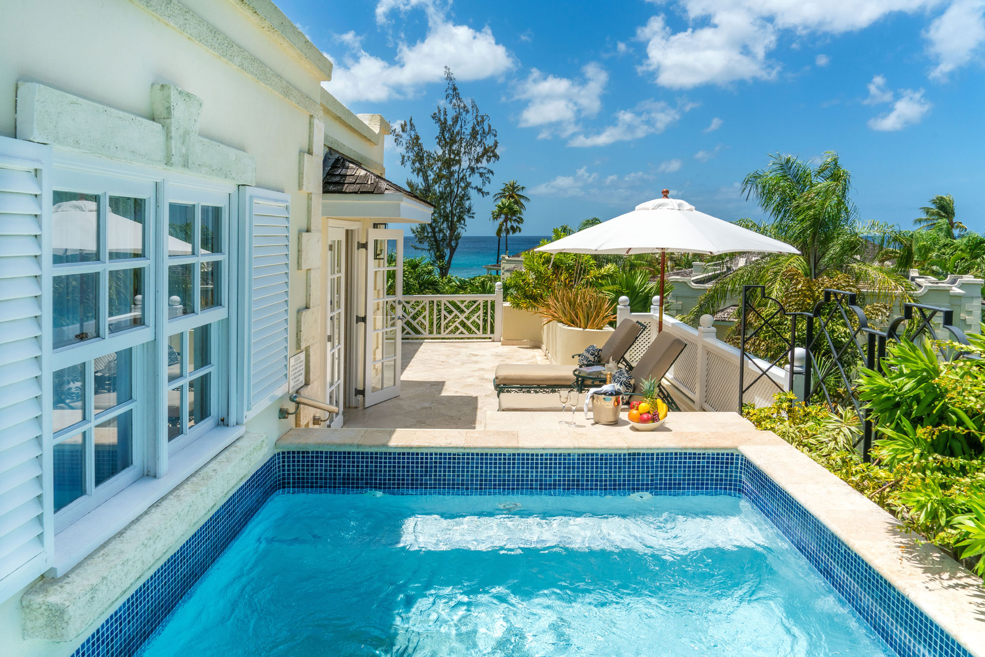 Coral Reef Barbados