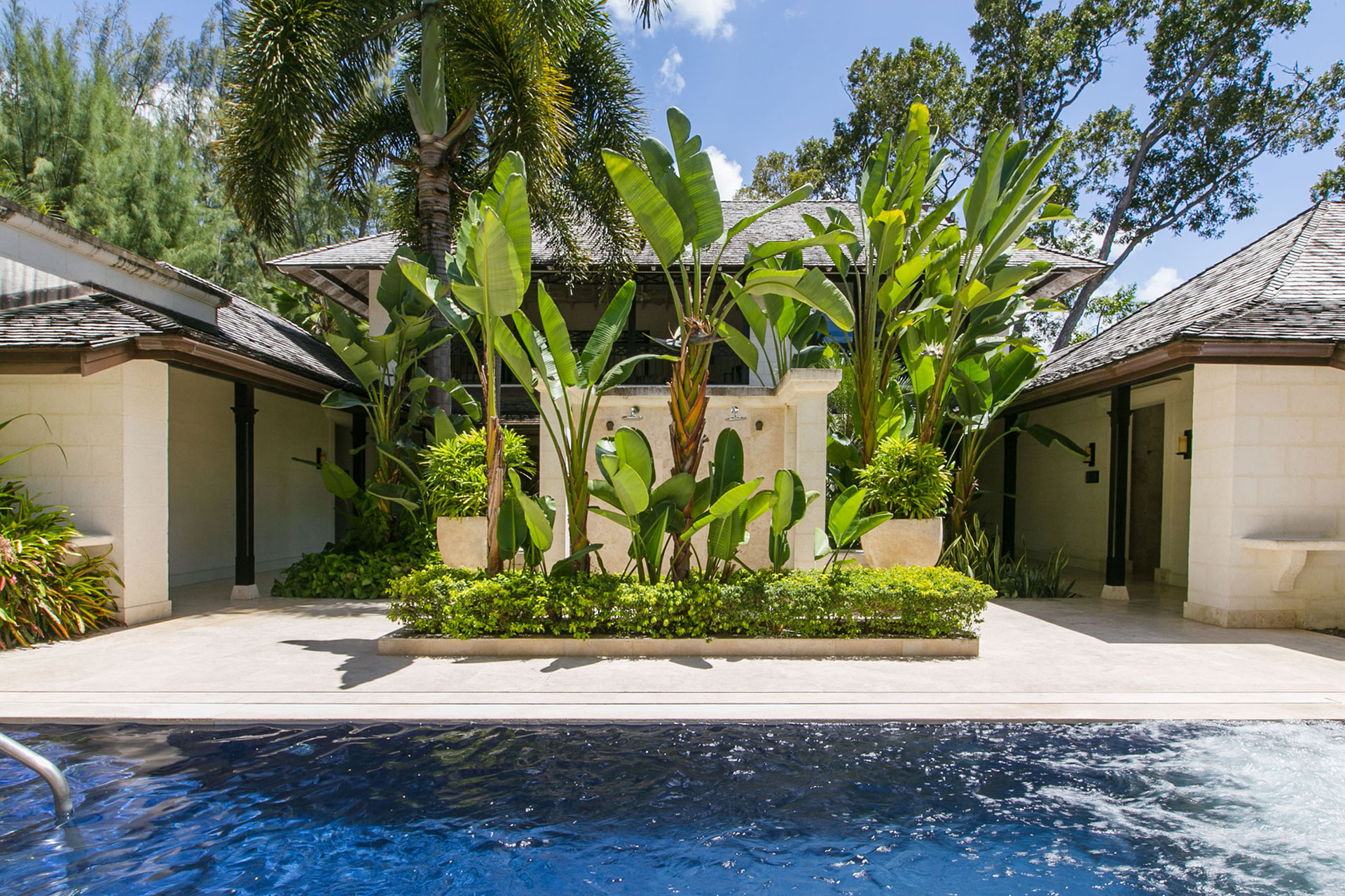 A pool with a large cactus
