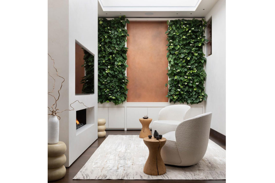 a living room featuring a vertical garden