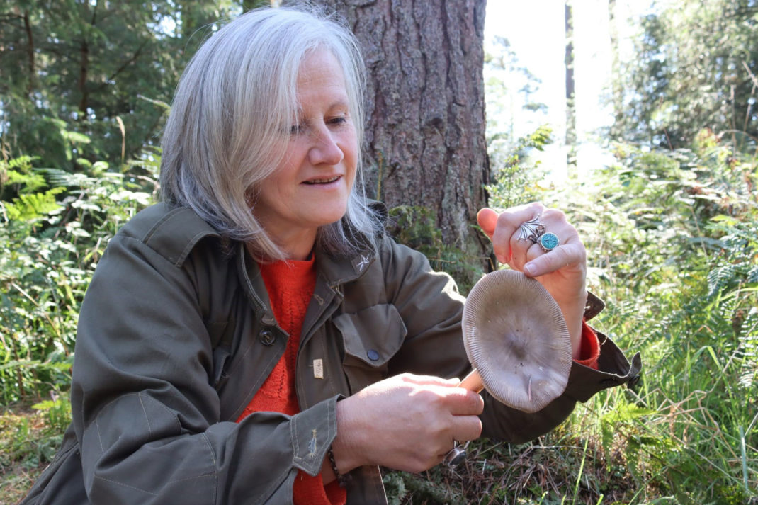 hunter gatherer monica wilde admires a mushroom in a woodland
