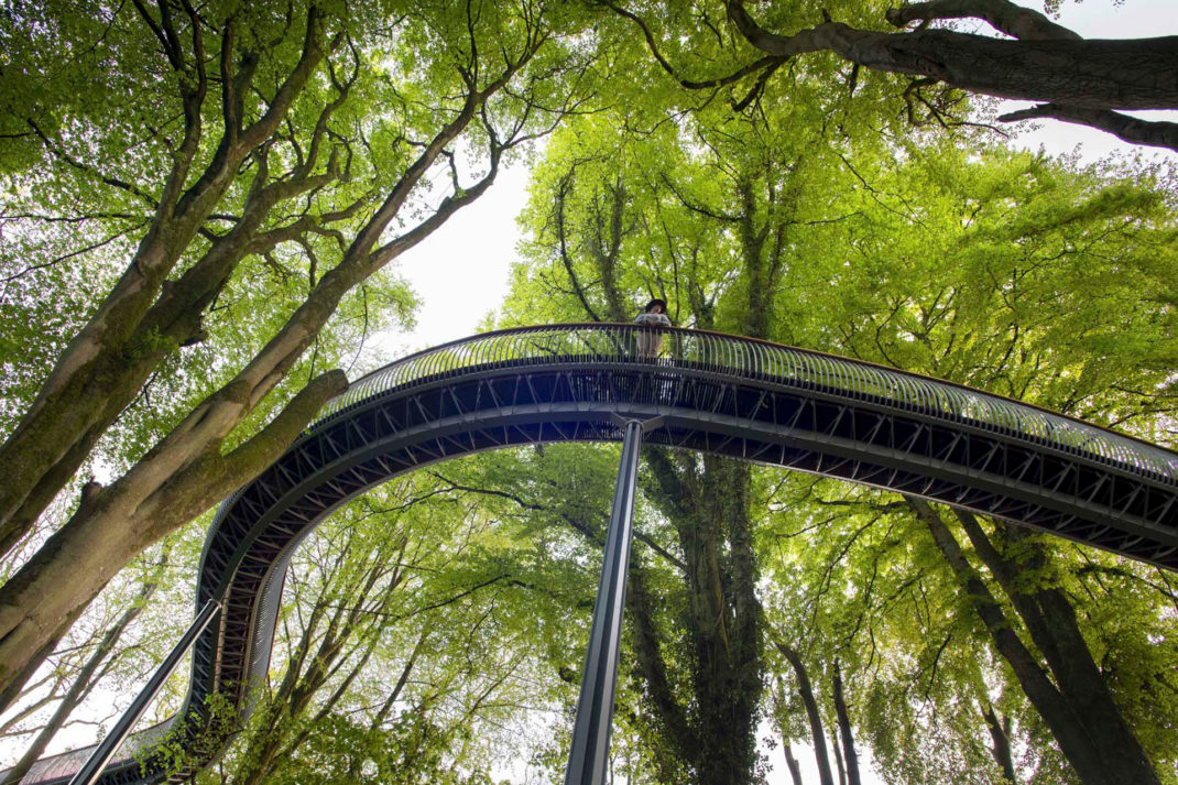 a bridge swings past a group of trees at the forest of The Newt Hotel in Somerset