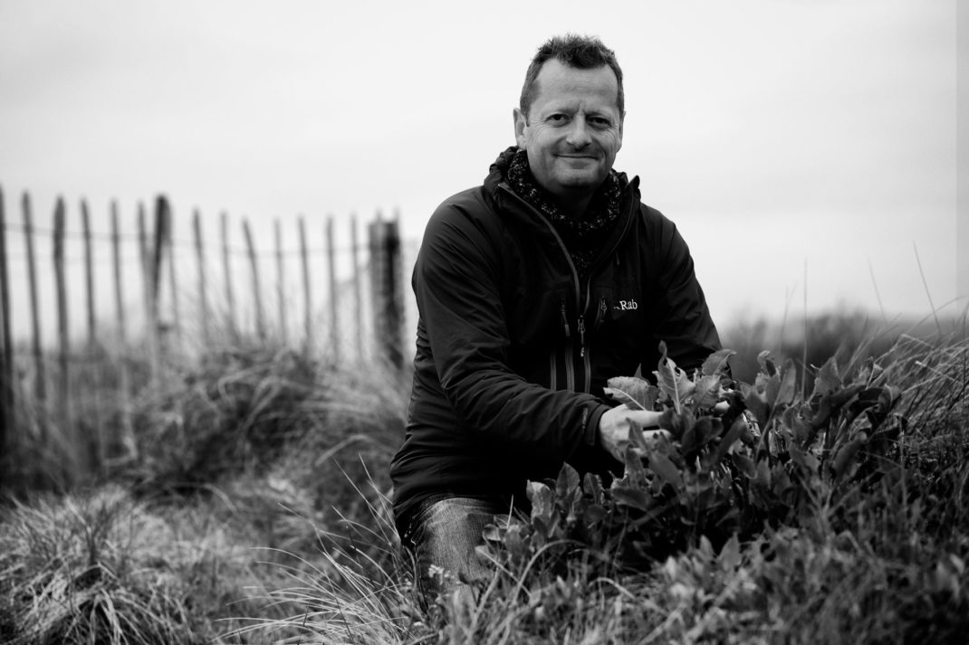 forager Robin Harford picks plants on a grassland