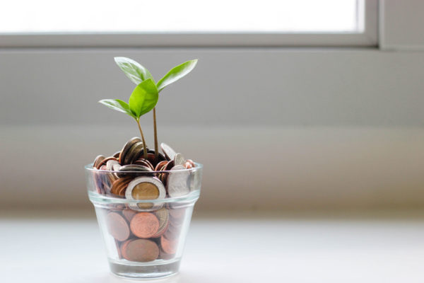 Money with plant