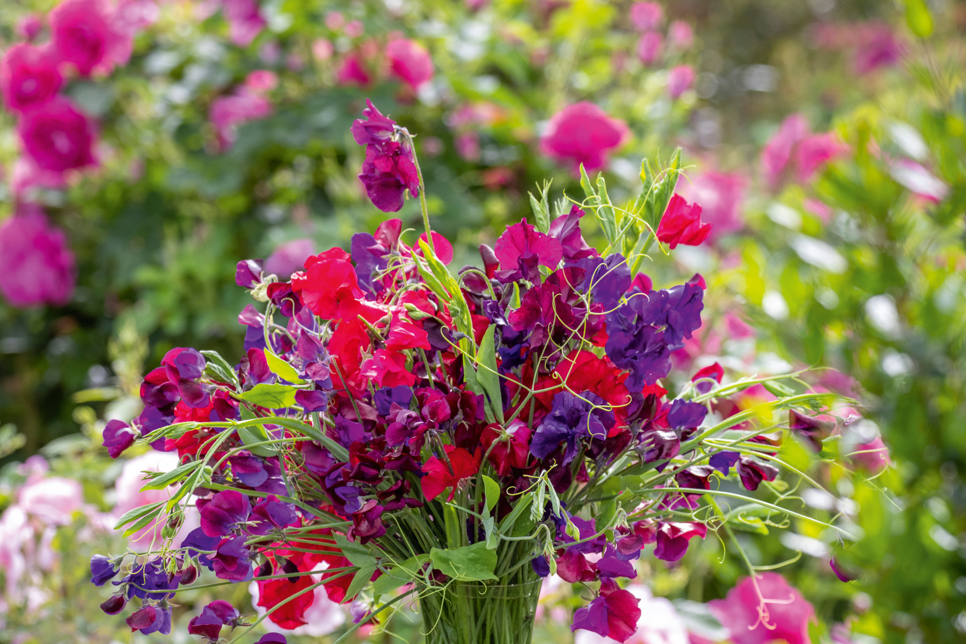 How to Create a Summer Garden that Satisfies the Senses