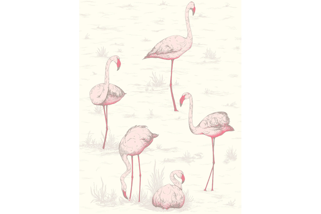 Pink flamingo wallpaper