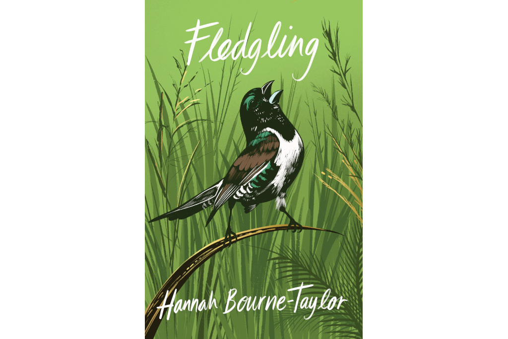 Fledgling by Hannah Bourne-Taylor book cover
