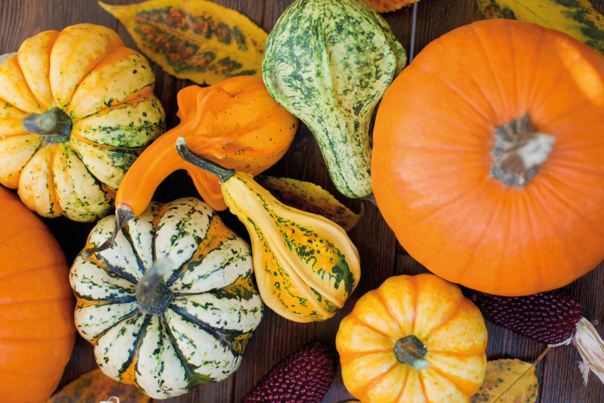 Orange, yellow and green pumpkins with autumn leaves on a wooden background.