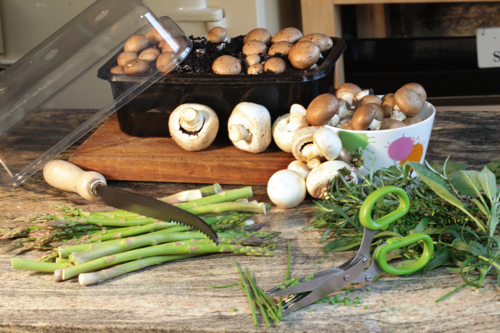 Mushroom Kits, Asparagus Knife & Herb Scissors