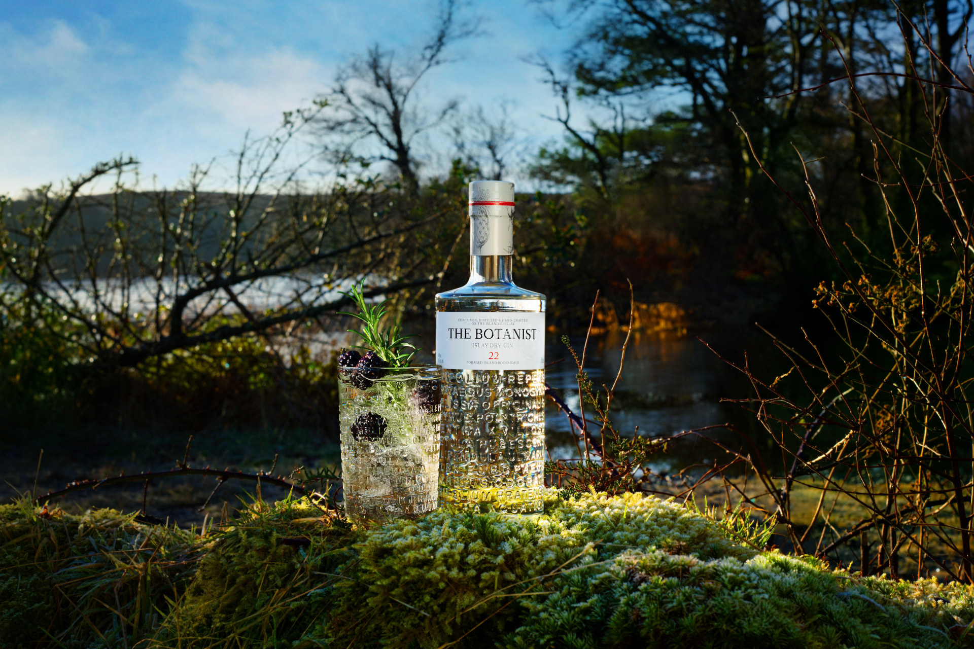 Bottle of gin and glass outside on moss bank with woodland and lake in background