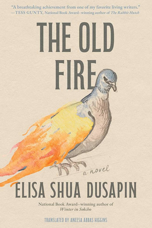 The Old Fire by Elisa Shua Dusapin