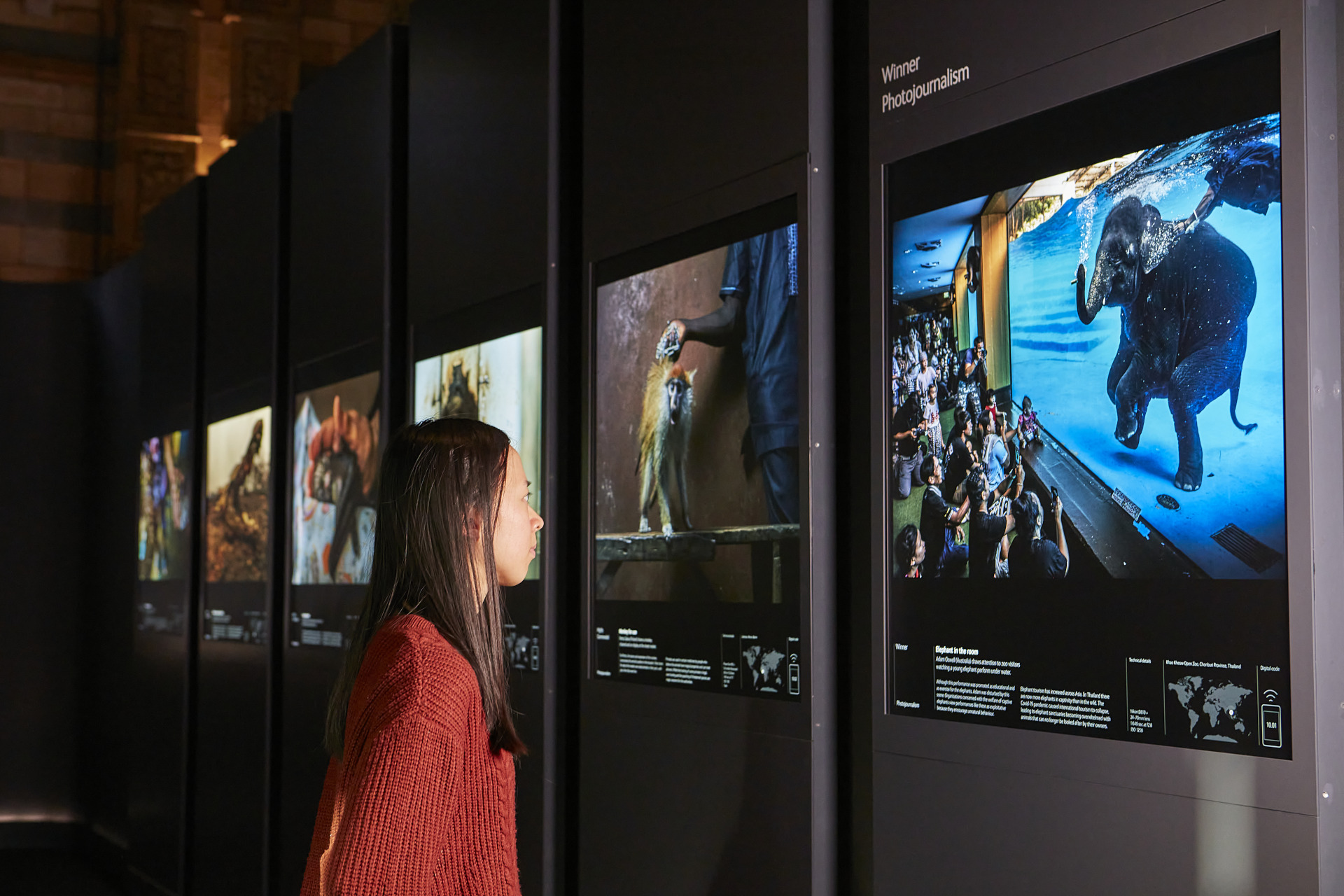 What's On at The Natural History Museum? - Culture What's On at The Natural History Museum? - Culture